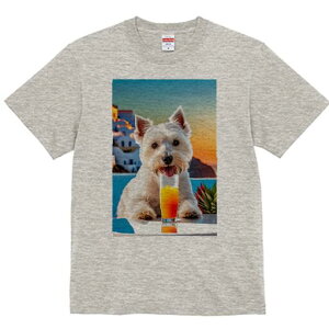 EGXgnChzCgeA TVc  j[NfUCY LbY t@  t vg lJWA 킢 lԗp Mtg I ҏ΍ ݕ EGXgn