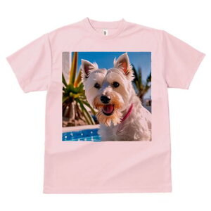 EGXgnChzCgeA TVc  j[NfUCfB[X t@  t vg lJWA 킢 lԗp Mtg I ҏ΍ v[ EGXgnC