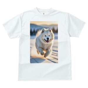 �T���G�h T�V���c ���� ���j�[�N�f�U�C�����f�B�[�X ���t�@�� ���� �t�� �v�����g ��l�J�W���A�� ���킢�� �l�ԗp �M�t�g ���I �ҏ��΍� �� �T���G�h �~ �A�E�g�h�A ���i