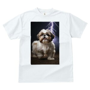 V[Y[ TVc  j[NfUCfB[X t@  t vg lJWA 킢 lԗp Mtg I ҏ΍  V[Y[