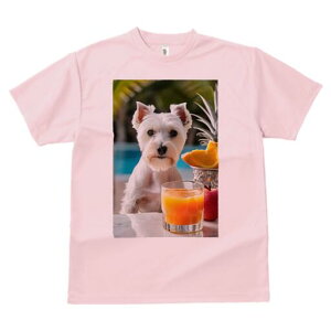 EGXgnChzCgeA TVc  j[NfUCfB[X t@  t vg lJWA 킢 lԗp Mtg I ҏ΍ W[X EGXgnC