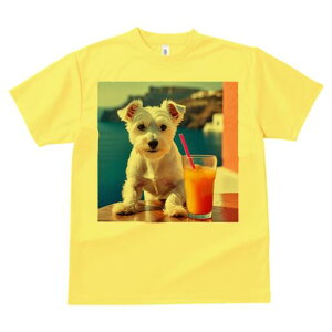 EGXgnChzCgeA TVc  j[NfUCfB[X t@  t vg lJWA 킢 lԗp Mtg I ҏ΍ W[X EGXgnC