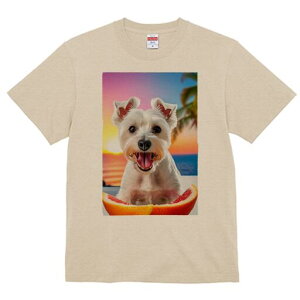 EGXgnChzCgeA TVc  j[NfUCY LbY t@  t vg lJWA 킢 lԗp Mtg I ҏ΍ [Ă EGXgn