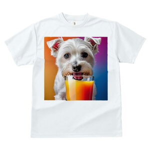 EGXgnChzCgeA TVc  j[NfUCfB[X t@  t vg lJWA 킢 lԗp Mtg I ҏ΍ W[X EGXgnC