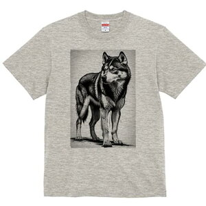 nXL[ TVc  j[NfUCfB[X t@  t vg lJWA 킢 lԗp Mtg I ҏ΍ nXL[