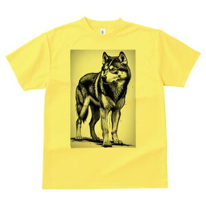 nXL[ TVc  j[NfUCfB[X t@  t vg lJWA 킢 lԗp Mtg I ҏ΍ nXL[