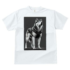 VxAnXL[ TVc  j[NfUCfB[X t@  t vg lJWA 킢 lԗp Mtg I ҏ΍ n[lX VxAnXL[