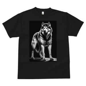 nXL[ TVc  j[NfUCfB[X t@  t vg lJWA 킢 lԗp Mtg I ҏ΍ nXL[