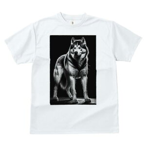 nXL[ TVc  j[NfUCfB[X t@  t vg lJWA 킢 lԗp Mtg I ҏ΍ nXL[