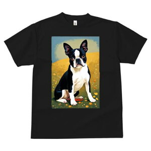 {XgeA TVc  j[NfUCfB[X t@  t vg lJWA 킢 lԗp Mtg I ҏ΍  {XgeA  u