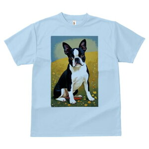 {XgeA TVc  j[NfUCfB[X t@  t vg lJWA 킢 lԗp Mtg I ҏ΍  {XgeA  u