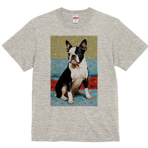 {XgeA TVc  j[NfUCfB[X t@  t vg lJWA 킢 lԗp Mtg I ҏ΍ ԕ {XgeA \t@ ǎ