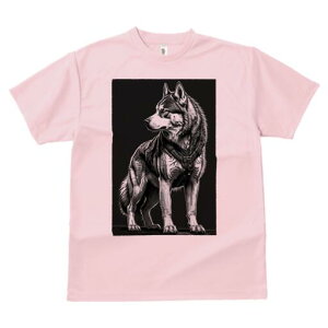 nXL[ TVc  j[NfUCfB[X t@  t vg lJWA 킢 lԗp Mtg I ҏ΍ n[lX nXL[