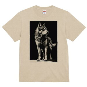 nXL[ TVc  j[NfUCfB[X t@  t vg lJWA 킢 lԗp Mtg I ҏ΍ nXL[