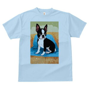 {XgeA TVc  j[NfUCfB[X t@  t vg lJWA 킢 lԗp Mtg I ҏ΍ \t@ {XgeA