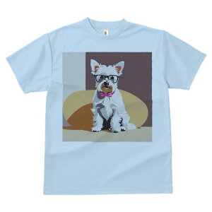 EGXgnChzCgeA TVc  j[NfUCfB[X t@  t vg lJWA 킢 lԗp Mtg I ҏ΍ Kl EGXgnC