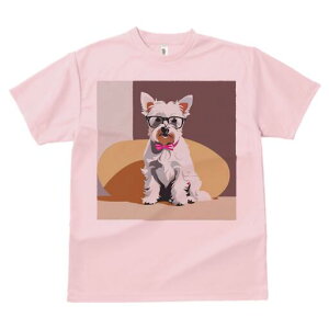 EGXgnChzCgeA TVc  j[NfUCY LbY t@  t vg lJWA 킢 lԗp Mtg I ҏ΍ Kl EGXgn