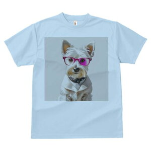 EGXgnChzCgeA TVc  j[NfUCfB[X t@  t vg lJWA 킢 lԗp Mtg I ҏ΍ Kl EGXgnC