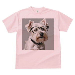 EFXgnChzCgeA TVc  j[NfUCfB[X t@  t vg lJWA 킢 lԗp Mtg I ҏ΍ Kl EFXgnC