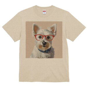 EGXgnChzCgeA TVc  j[NfUCY LbY t@  t vg lJWA 킢 lԗp Mtg I ҏ΍ Kl EGXgn