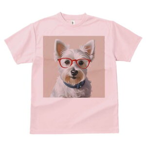 EGXgnChzCgeA TVc  j[NfUCfB[X t@  t vg lJWA 킢 lԗp Mtg I ҏ΍ Kl EGXgnC