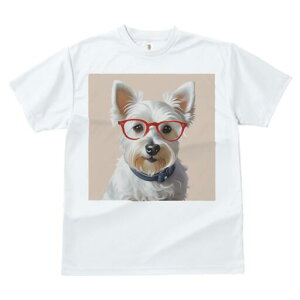 EGXgnChzCgeA TVc  j[NfUCfB[X t@  t vg lJWA 킢 lԗp Mtg I ҏ΍ Kl EGXgnC