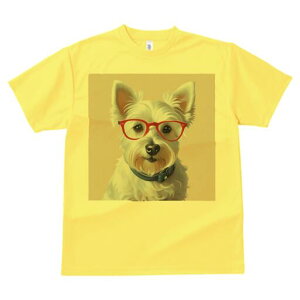 EGXgnChzCgeA TVc  j[NfUCY LbY t@  t vg lJWA 킢 lԗp Mtg I ҏ΍ Kl EGXgn