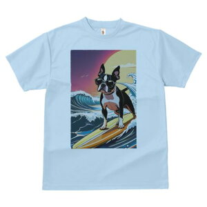 {XgeA TVc  j[NfUCfB[X t@  t vg lJWA 킢 lԗp Mtg I ҏ΍ g {XgeA C T[tB TO