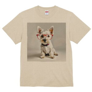 [NV[eA TVc  j[NfUCfB[X t@  t vg lJWA 킢 lԗp Mtg I ҏ΍ Kl [NV[eA