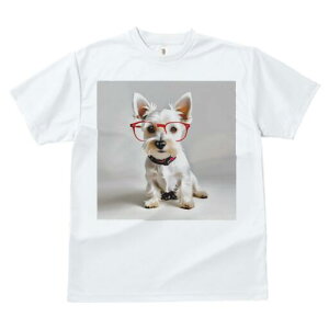 [NV[eA TVc  j[NfUCfB[X t@  t vg lJWA 킢 lԗp Mtg I ҏ΍ Kl [NV[eA