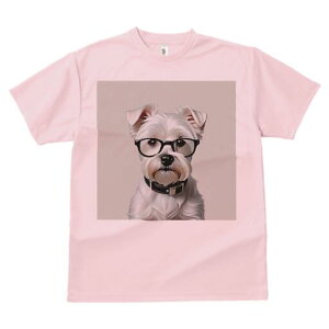 ~j`AViEU[ TVc  j[NfUCfB[X t@  t vg lJWA 킢 lԗp Mtg I ҏ΍ Kl ~j`AViEU[ 