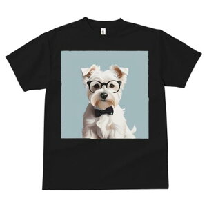 EGXgnChzCgeA TVc  j[NfUCfB[X t@  t vg lJWA 킢 lԗp Mtg I ҏ΍ Kl EGXgnC