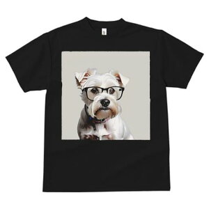 EGXgnChzCgeA TVc  j[NfUCY LbY t@  t vg lJWA 킢 lԗp Mtg I ҏ΍ Kl EGXgn