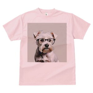 EGXgnChzCgeA TVc  j[NfUCfB[X t@  t vg lJWA 킢 lԗp Mtg I ҏ΍ Kl EGXgnC