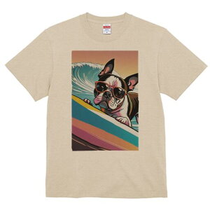 {XgeA TVc  j[NfUCfB[X t@  t vg lJWA 킢 lԗp Mtg I ҏ΍ g {XgeA T[t{[h TO