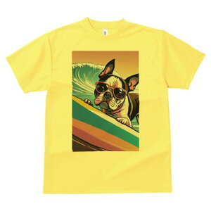 {XgeA TVc  j[NfUCfB[X t@  t vg lJWA 킢 lԗp Mtg I ҏ΍ g {XgeA T[t{[h TO