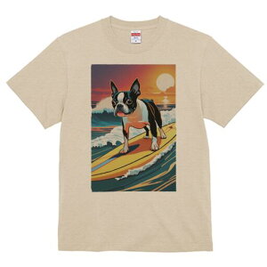 {XgeA TVc  j[NfUCfB[X t@  t vg lJWA 킢 lԗp Mtg I ҏ΍ g {XgeA C T[tB z