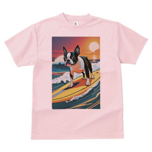 {XgeA TVc  j[NfUCfB[X t@  t vg lJWA 킢 lԗp Mtg I ҏ΍ g {XgeA C T[tB z