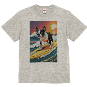 {XgeA TVc  j[NfUCfB[X t@  t vg lJWA 킢 lԗp Mtg I ҏ΍ g {XgeA C T[tB z