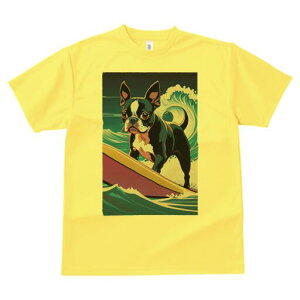 {XgeA TVc  j[NfUCfB[X t@  t vg lJWA 킢 lԗp Mtg I ҏ΍ g {XgeA T[tB T[t{[