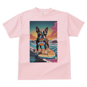 {XgeA TVc  j[NfUCfB[X t@  t vg lJWA 킢 lԗp Mtg I ҏ΍ T[tB {XgeA g C 