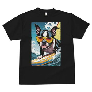 {XgeA TVc  j[NfUCY LbY t@  t vg lJWA 킢 lԗp Mtg I ҏ΍ T[tB {XgeA TOX 