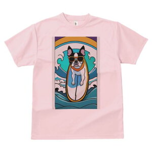 {XgeA TVc  j[NfUCfB[X t@  t vg lJWA 킢 lԗp Mtg I ҏ΍ T[tB {XgeA g TOX