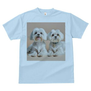 }`[Y TVc  j[NfUCfB[X t@  t vg lJWA 킢 lԗp Mtg I ҏ΍ }`[Y