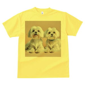 }`[Y TVc  j[NfUCfB[X t@  t vg lJWA 킢 lԗp Mtg I ҏ΍ }`[Y