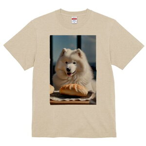 TGh TVc  j[NfUCfB[X t@  t vg lJWA 킢 lԗp Mtg I ҏ΍ p TGh Ăَq