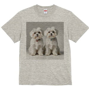 }`[Y TVc  j[NfUCfB[X t@  t vg lJWA 킢 lԗp Mtg I ҏ΍ p }`[Y n[g