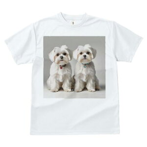 }`[Y TVc  j[NfUCfB[X t@  t vg lJWA 킢 lԗp Mtg I ҏ΍ p }`[Y n[g