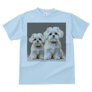 }`[Y TVc  j[NfUCfB[X t@  t vg lJWA 킢 lԗp Mtg I ҏ΍ }`[Y