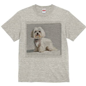 }`[Y TVc  j[NfUCfB[X t@  t vg lJWA 킢 lԗp Mtg I ҏ΍ }`[Y